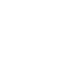 Acute Lymphoblastic Anemia